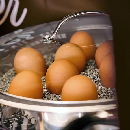 Frankfurt-nord Frankfurt nad Mohanem